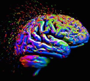 The Neuroscience of Synesthesia